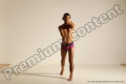 Elmer - Traditional Korean Art